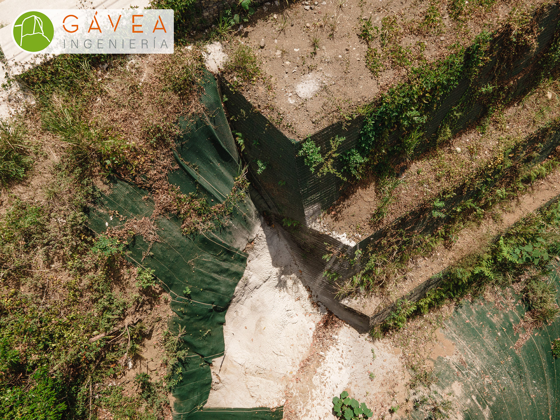 DJI_0262
